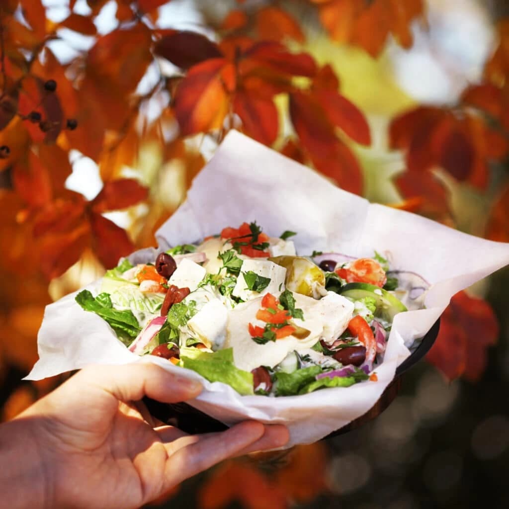 Your Healthy Alternative